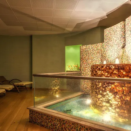 酒店 公园酒店 佩斯基耶拉德加达